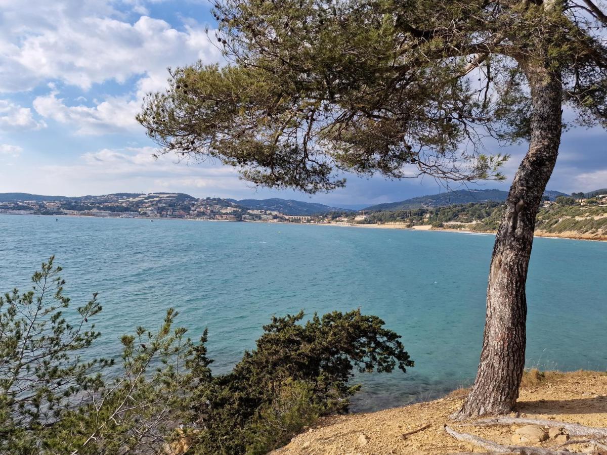 Sanaritz Lägenhet Sanary-sur-Mer Exteriör bild